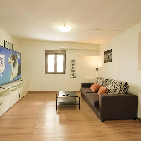 公寓 Apartamentos Formigal 福米加尔